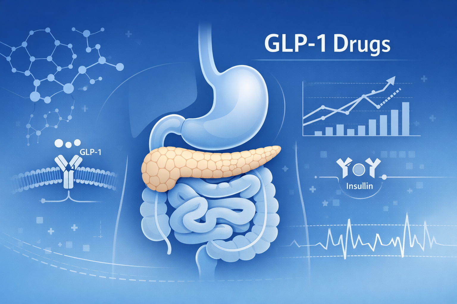 GLP-1 药物：原理 · 安全 · 品牌